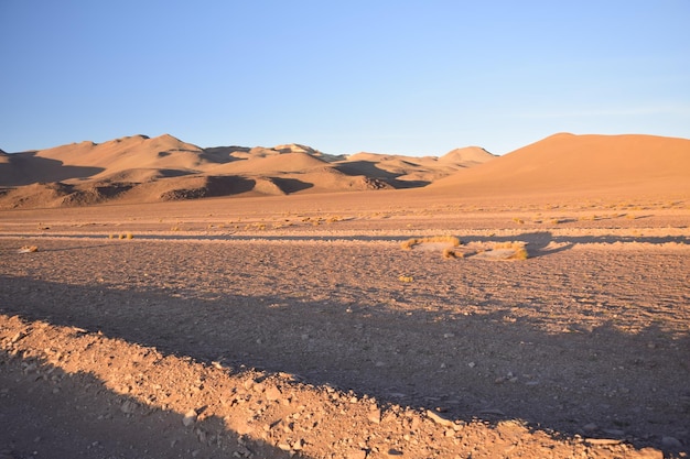 Sandy road through the desert at sunrise in Eduardo Avaroa National Reserve in Uyuni Bolivia