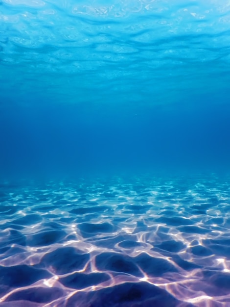 Foto fondo marino sabbioso vita marina, fondo subacqueo
