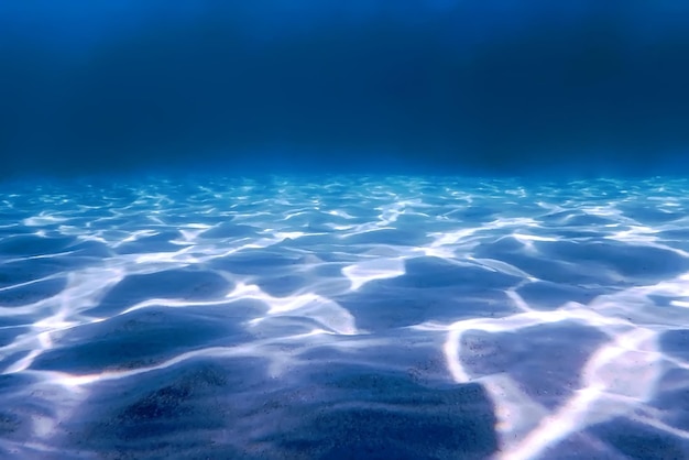 砂浜の海底海洋生物、水中背景