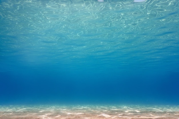 Sandy sea bottom Underwater background