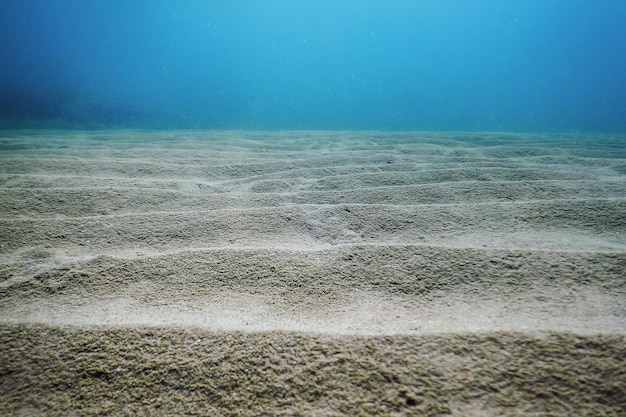 Photo sandy sea bottom underwater background