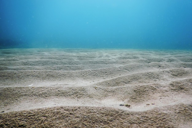 Photo sandy sea bottom underwater background