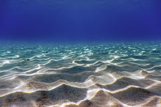 모래 바다 바닥 수중 배경