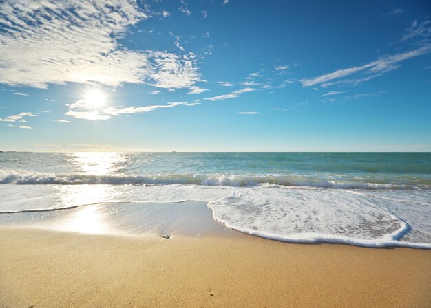 Photo sandy seashore at sunny day nature landscape