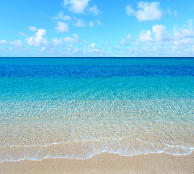 Sandy shore on a cloudy day