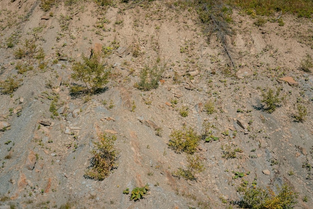 Sandy surface and plants on the mountain hill green nobody view\
tour tourism vale climate discover discovery down earth exploration\
explore grunge heat