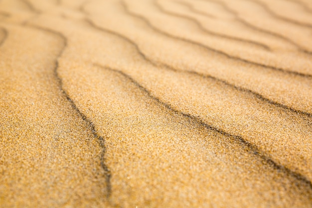 砂浜の波、セイロン海岸のビーチ