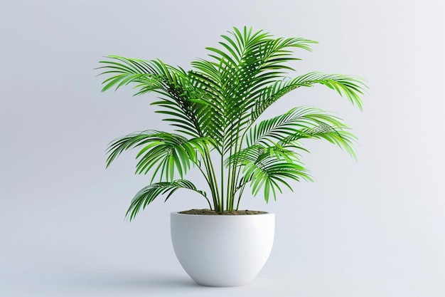 サンセヴィエリア (Sansevieria) は白い背景の灰色のテーブルの上に立つ現代的な花瓶の植物です