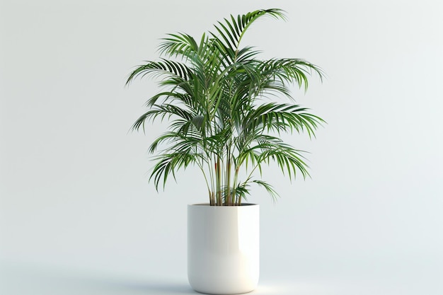 サンセヴィエリア (Sansevieria) は白い背景の灰色のテーブルの上に立つ現代的な花瓶の植物です