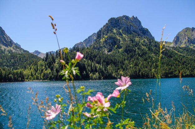 Sant Maurici lake