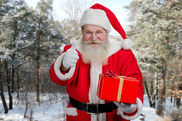 Santa Claus gesturing thumb up outdoors.