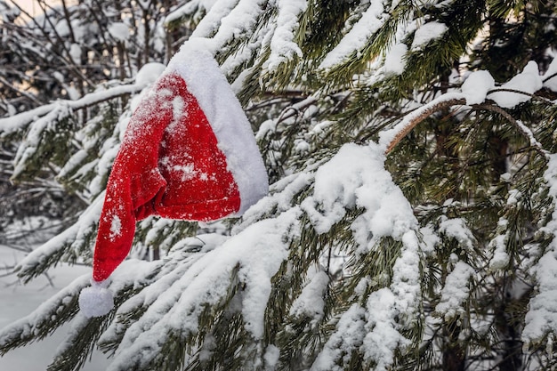 写真 雪で覆われた冬のクリスマス ツリーに掛かっているサンタ クロースの帽子