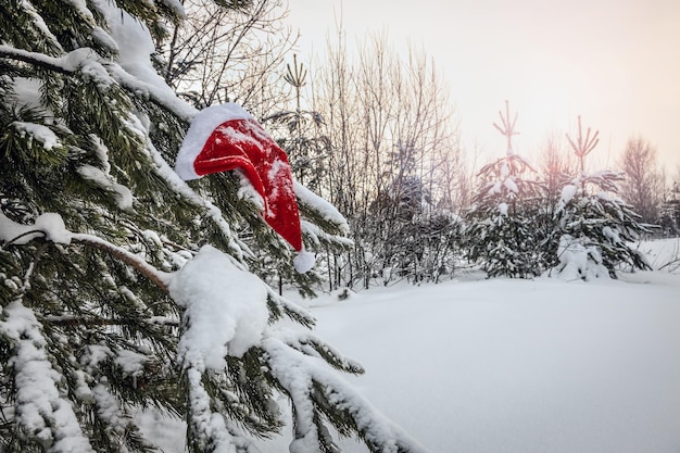 写真 雪で覆われた冬のクリスマス ツリーに掛かっているサンタ クロースの帽子