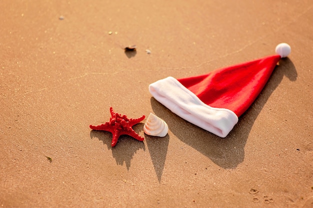 santa claus hat, tropical christmas