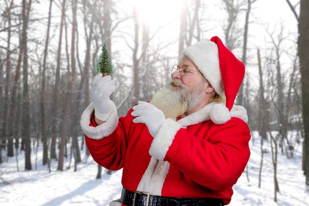 Santa Claus houdt kleine spar buitenshuis vast.