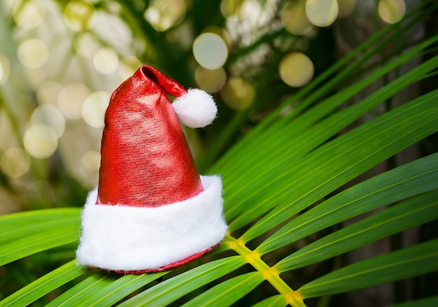 Santa hat on the palm leaf