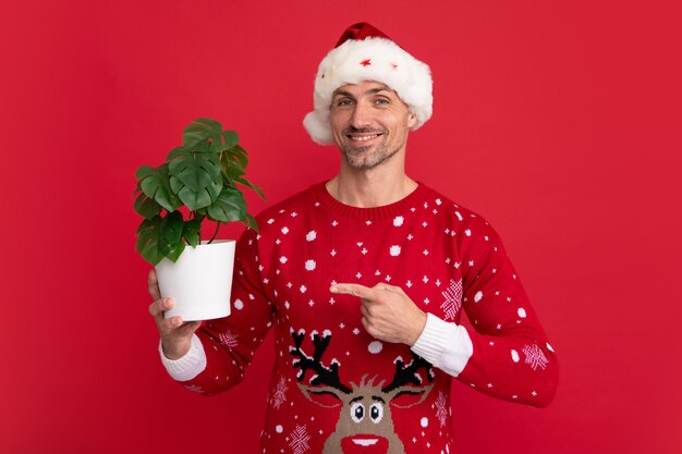 Santa hold pot with plant Handsome man in a winter sweater and Santa hat on studio red background