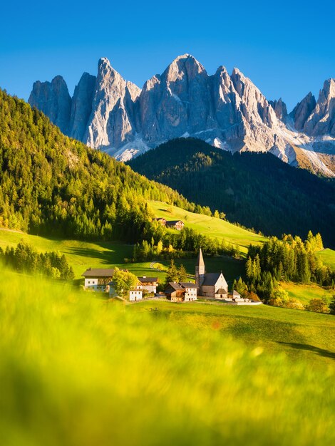 Santa maddalena val di funes dolomite alps italy the mountains and the forest before sunset natural