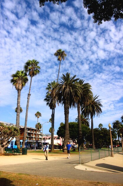 Santa monica california