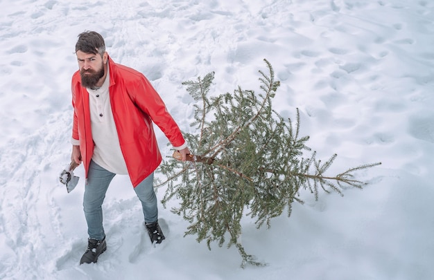 ウィンターパークのサンタ。森の背景に斧で立っているランバージャックサンタ。白い雪の背景にサンタ木こりモミの木。