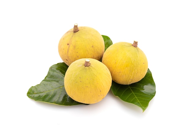 Santol fruit geïsoleerd op witte achtergrond voedsel en gezondheidszorg concept