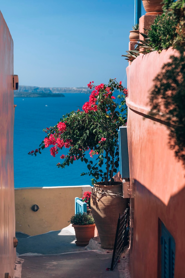 Photo santorini greece street detail and view in oia city in thira greek islands in aegean sea