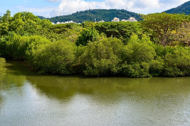 Sanya, China - January 19, 2020: Beautiful pond, trees and vegetation in the famous tropical Bai Lu Gong Yuan Park,  Sanya city. Hainan island, China.