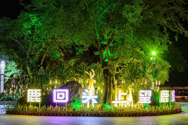 싼야, 하이난, 중국 - 2020년 2월 19일: 중국 하이난 섬 싼야 루후이터우 공원에서 한자의 아름다운 다색 야간 조명