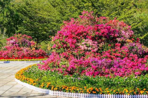 Sanya, Hainan, China - February 19, 2020: Flower beds on the observation deck near the park: "The deer turned his head". Street in Sanya City.