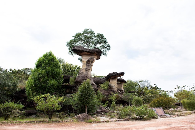 Sao Chaliang or Rock Earth Pillar in Pha Taem National Park at Amphoe Khong Chiam in Ubon Ratchathani Thailand for people travel and visit