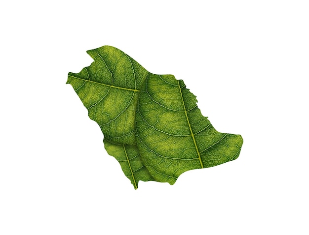 Saoedi-Arabië kaart gemaakt van groene bladeren op een witte achtergrond ecologie concept