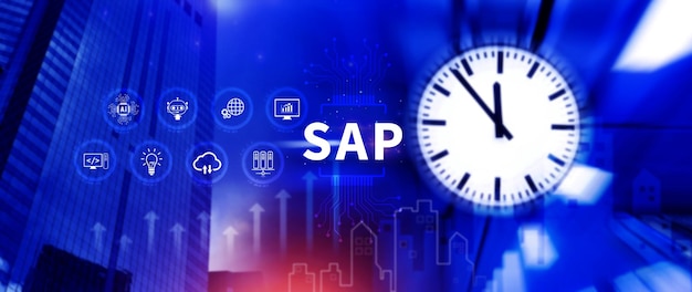 SAP システム アプリケーション 製品 ビジネスプロセスの自動化と管理 ソフトウェア コンセプト 管理ソリューション