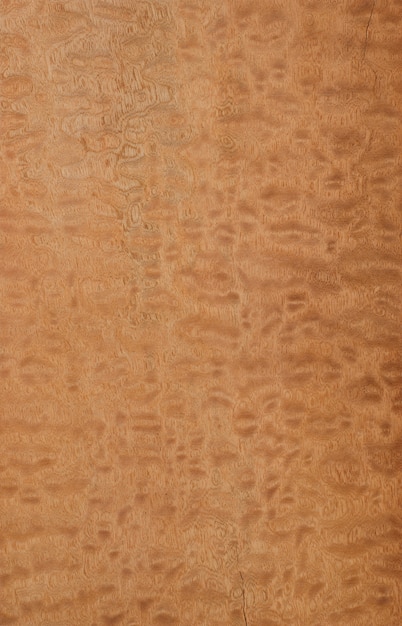 Sapele Pommele tree veneer