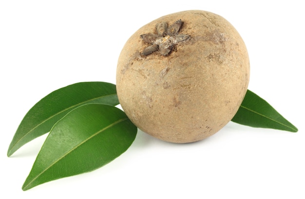 Sapodilla- of sapota-vruchten met groene bladeren