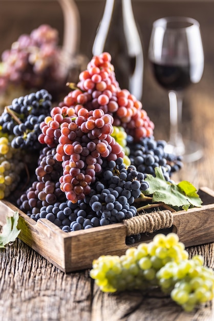 Sappige druiventrossen in een houten kist rode wijn op de achtergrond