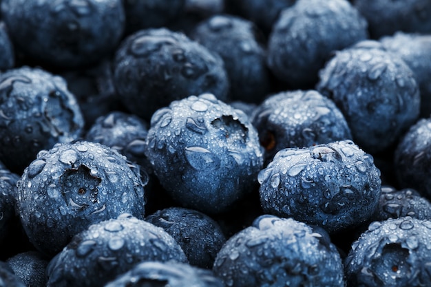 Sappige en rijpe bosbessen close - up op volledig scherm met dauwdruppels.