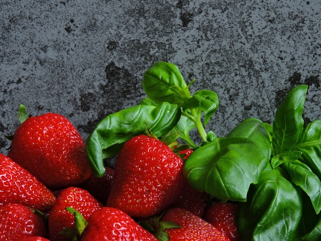 Sappige rijpe aardbeien en verse basilicum bladeren op een grijze stenen achtergrond.