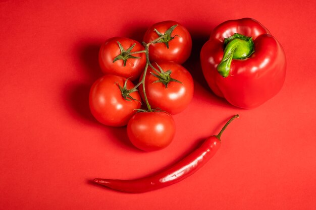 Sappige rode groenten tomaten en chilipepers en paprika's op een helder rood oppervlak