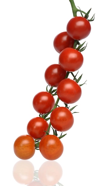 Sappige rode tomaten op de geïsoleerde achtergrond