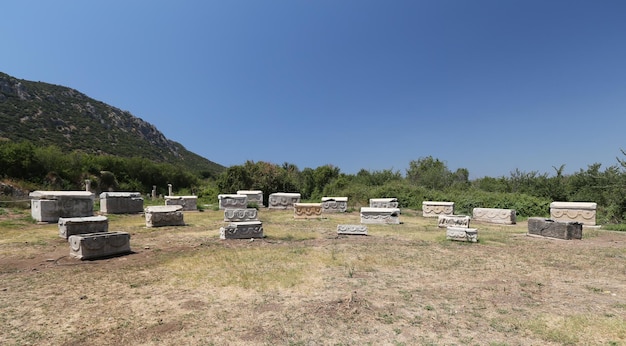 Sarcofaag in de oude stad Efeze in de stad Selcuk, Izmir, Turkije