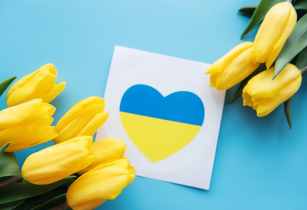 Sard with a heart in the colors of the Ukrainian flag and yellow tulips on a blue background Support for Ukraine