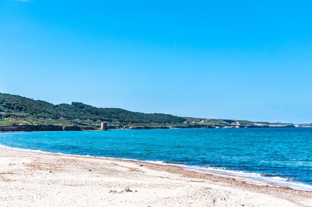 Sardijns strand in de lente