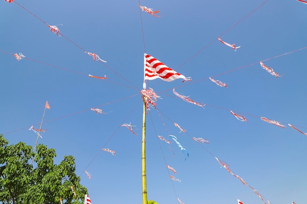 Sarna flag flying on the sky