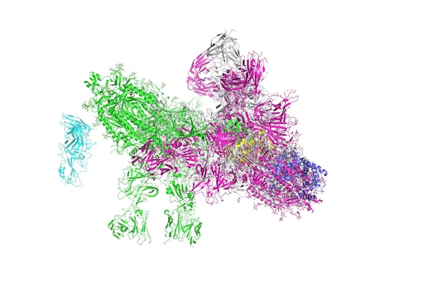 SARSCoV2 Spike Glycoproteïne