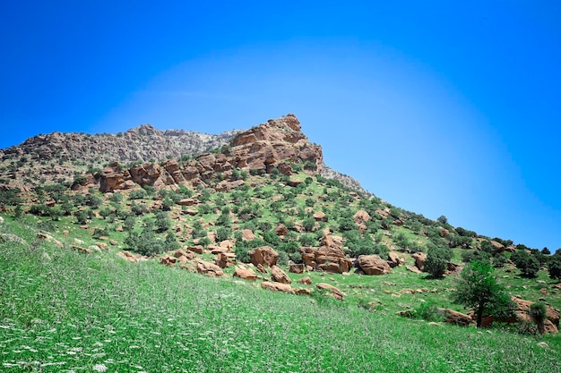 Foto sartak villaggio kalar area regione del kurdistan