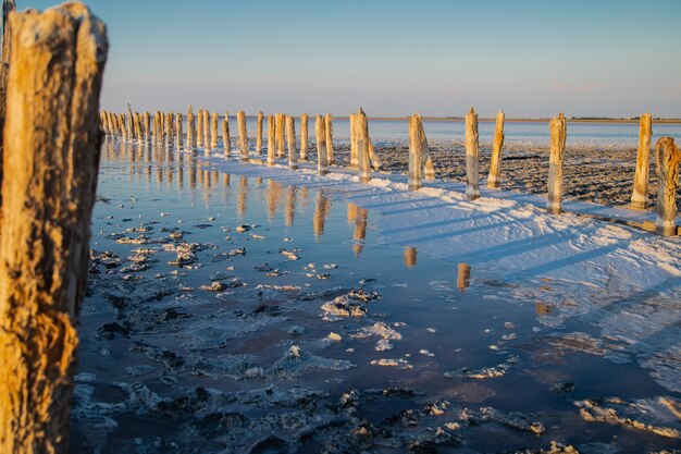 Foto lago sasyk-sivash con acqua rosa, macchie di sale e pilastri. foto di alta qualità