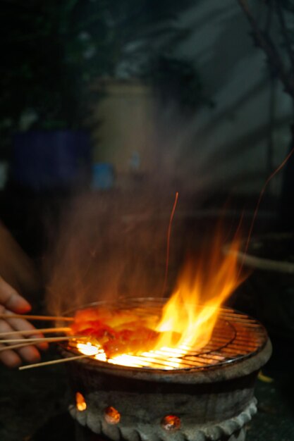 サタイチキン