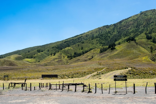 Savana Field Bromo Tengger National Park Oost-Java Indonesië