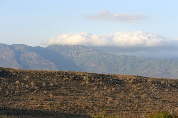 Savannah landscape in the National park in Kenya, Africa