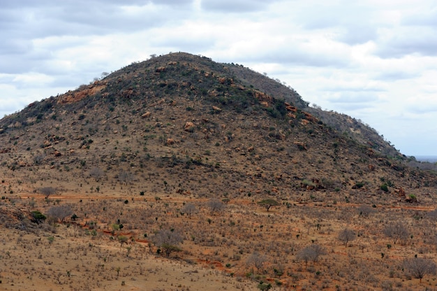 Savannelandschap in het nationale park in kenia